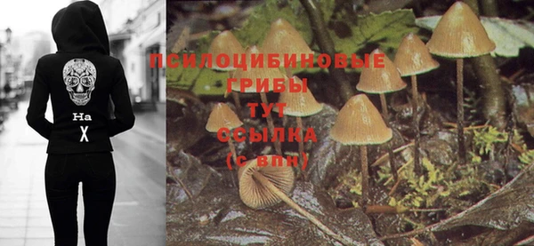 прущий лед Абдулино